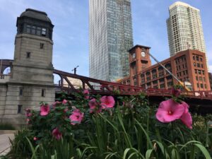 Chicago Grünflächen